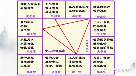 紫微12宮|紫微斗数 